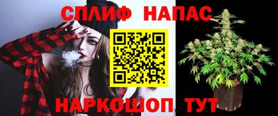гашишное масло Гудермес