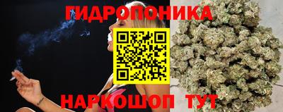 сатива Добрянка