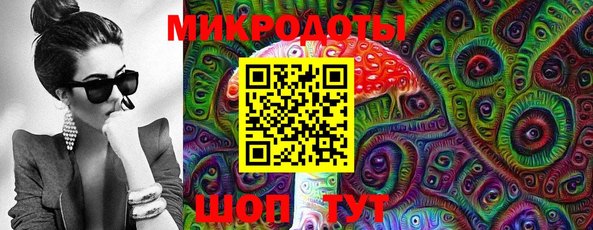 Галлюциногенные грибы Psilocybine cubensis Острогожск